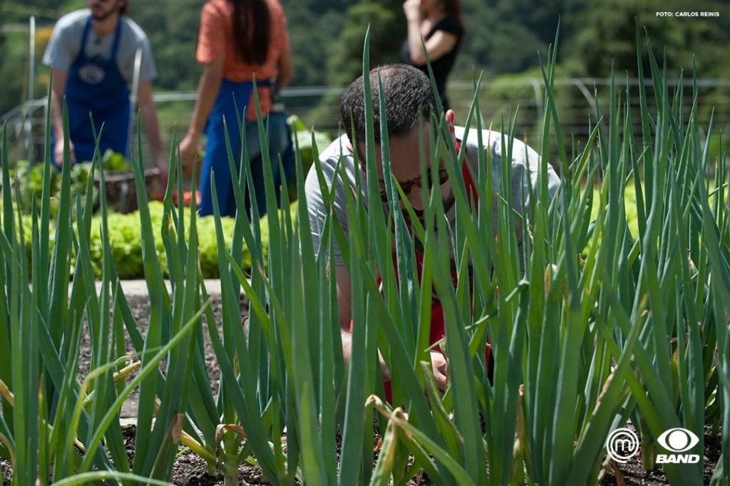 Os participantes colheram os ingredientes direto da horta - Foto: Carlos Reinis/Band