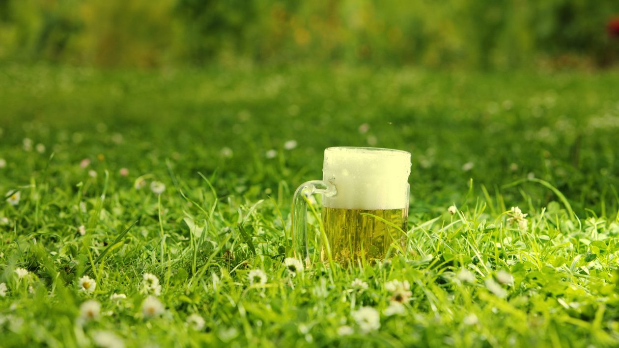 Primavera é a estação das cervejas refrescantes, mas que ainda são encorpadas - Foto: Andreas160578/Pixabay