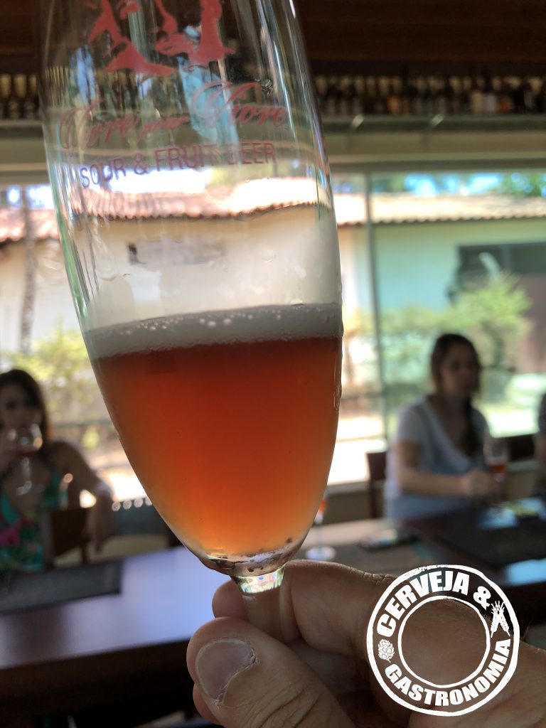 A "Vivre pour Vivre" é uma Sour e Fruit Beer com jabuticaba - Foto: Gleison Barreto Salin/Cerveja & Gastronomia